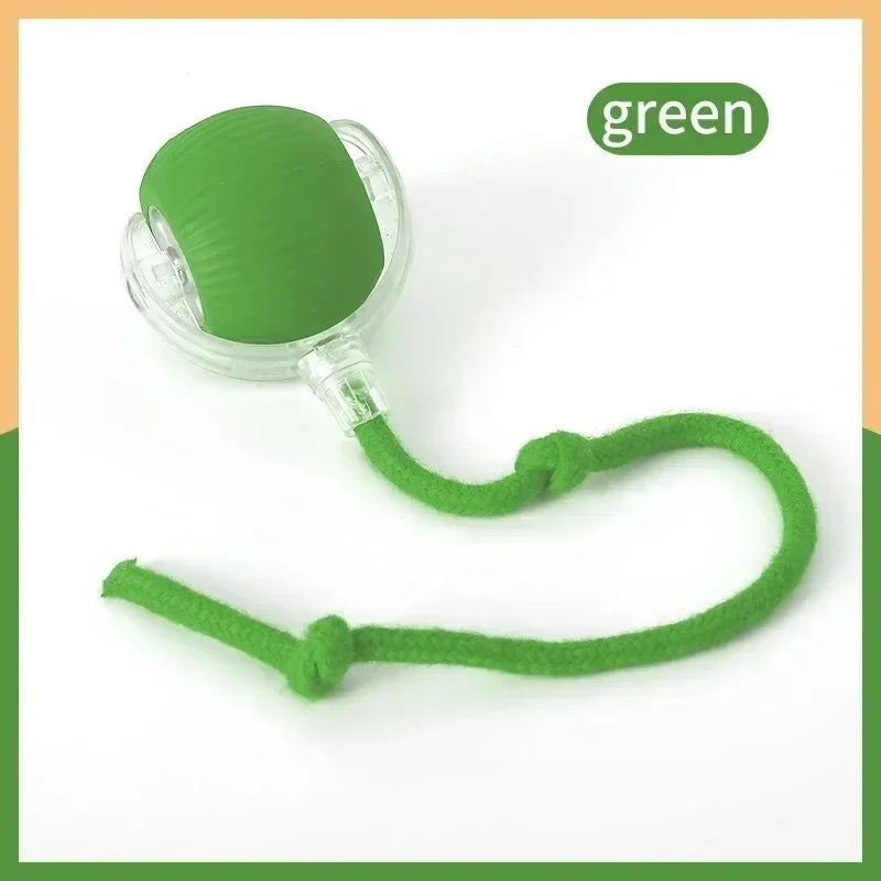 Auto-Wake Smart Ball Toy