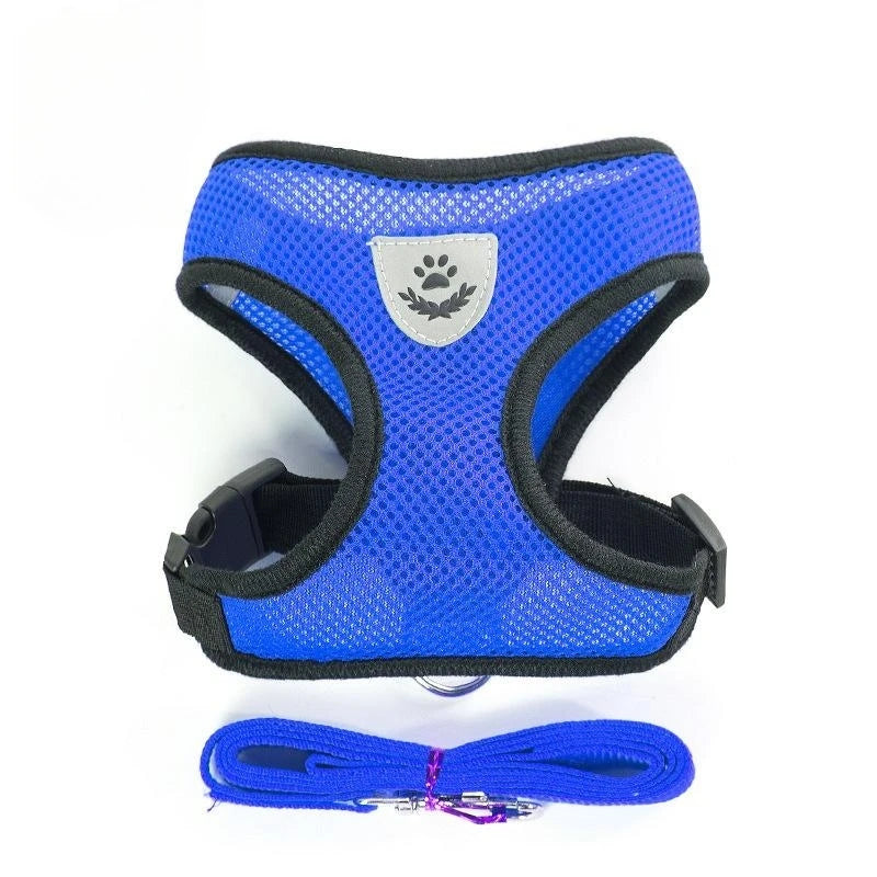 Comfortable Pet Harness with Leash