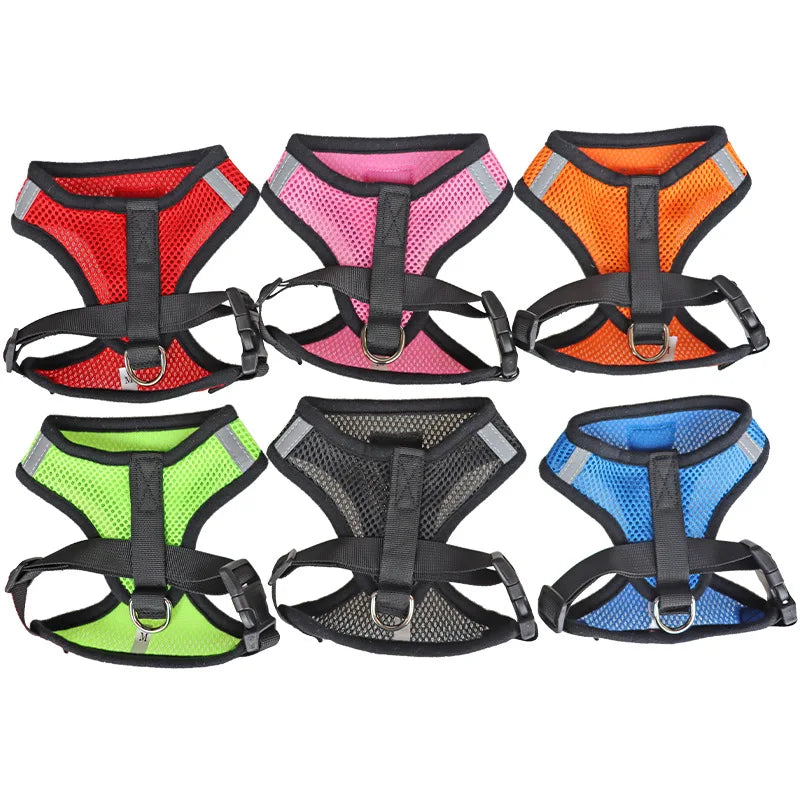 Comfortable Pet Harness with Leash